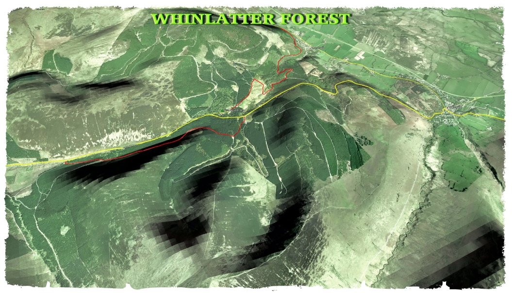 Whinlatter Forest Haven Cycles